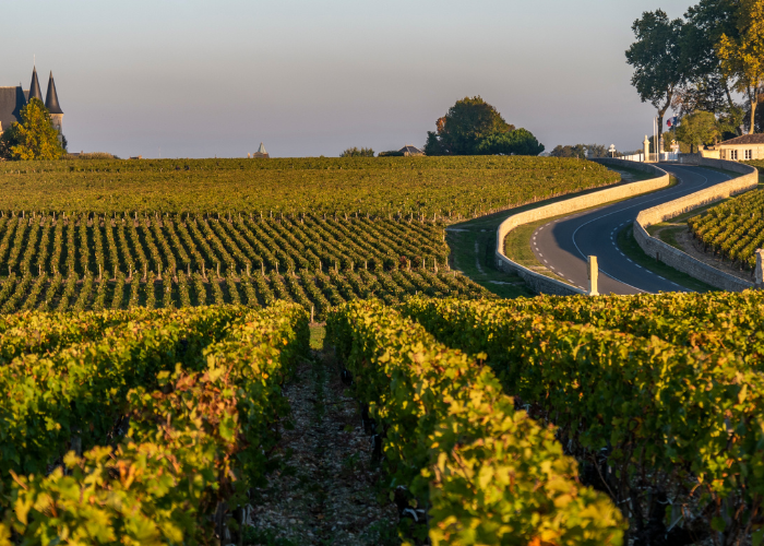 Bordeaux wine tours