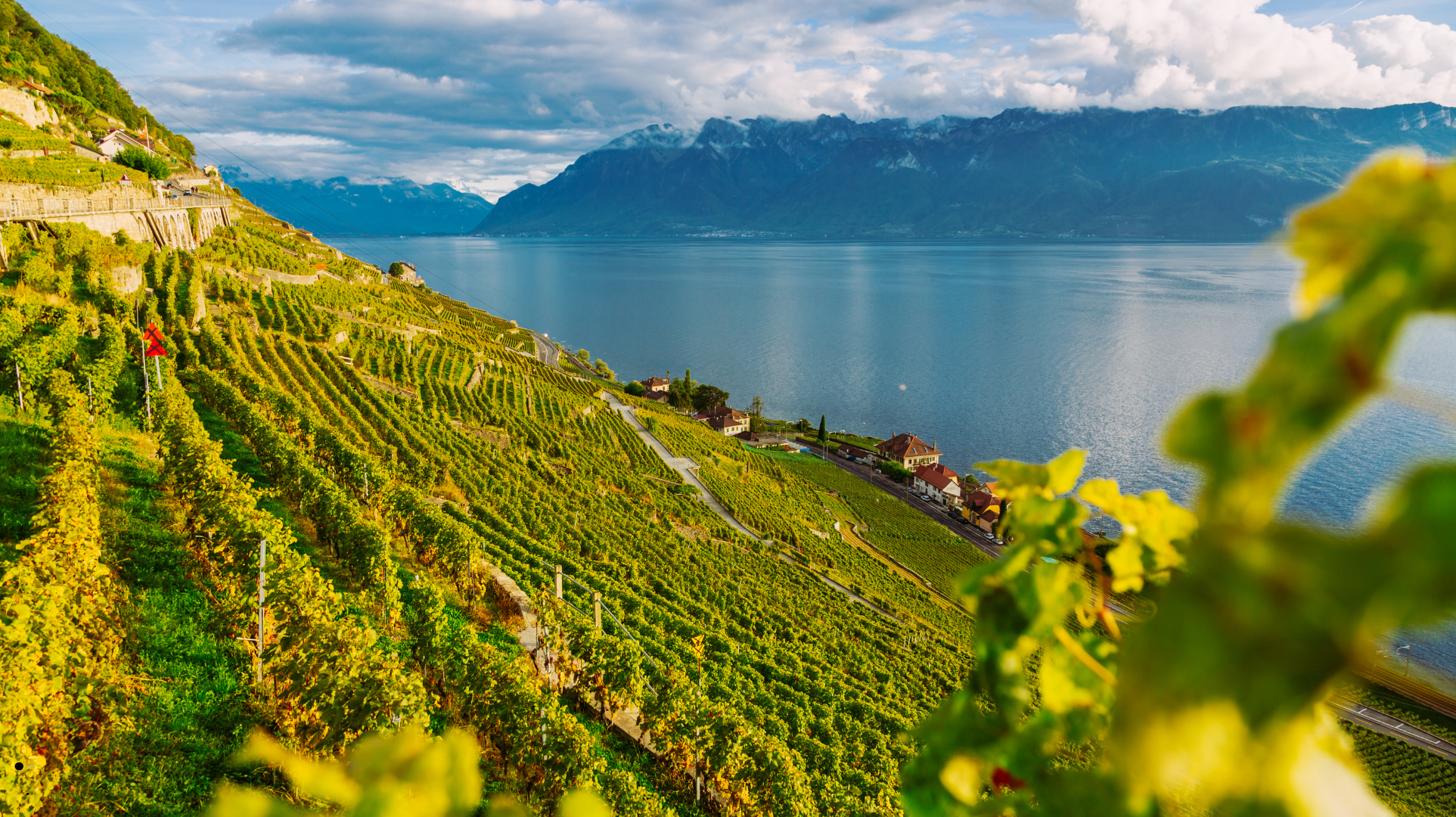 Rhone Valley Tour