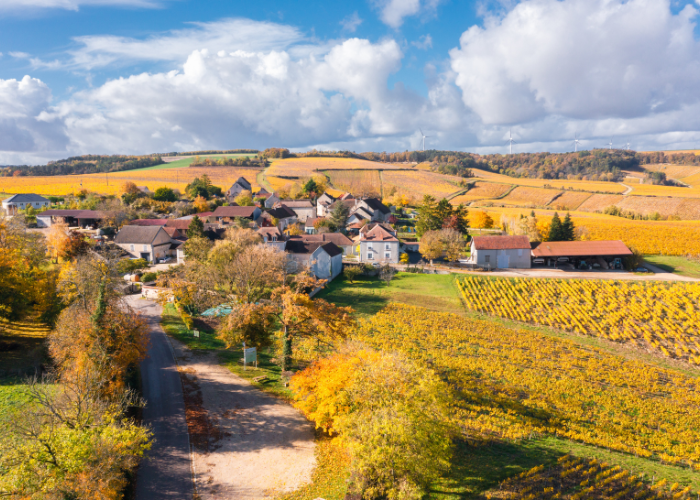 Sancerre-2